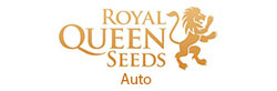 Royal Queen Seeds 
