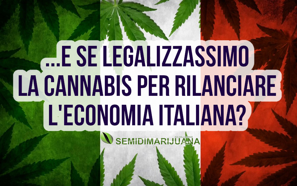 legalizzazione cannabis italia